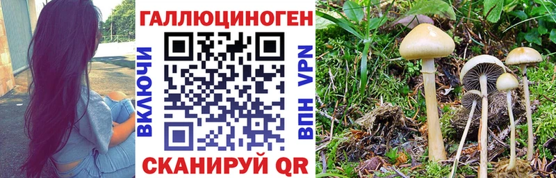 Галлюциногенные грибы ЛСД Сибай